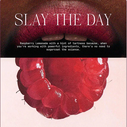 Slay the Day